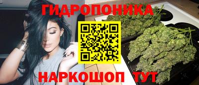 бошки Будённовск