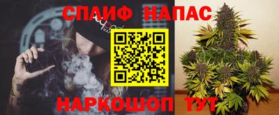 бошки Будённовск