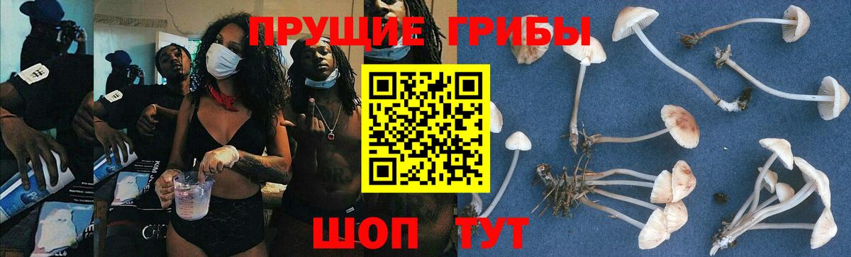 Галлюциногенные грибы GOLDEN TEACHER  Вход с VPN  Учалы 